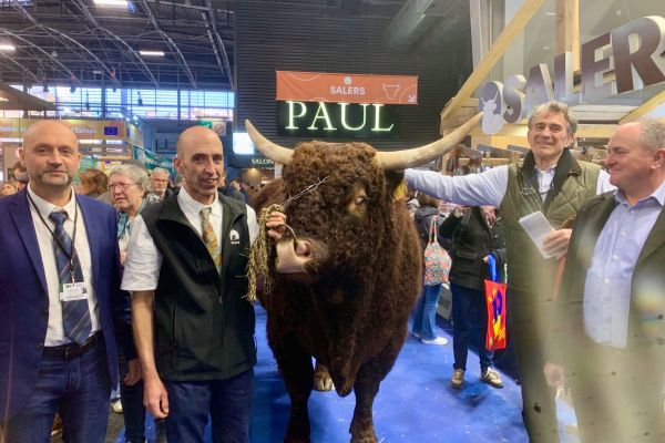 Systèmes d'abattage mobiles